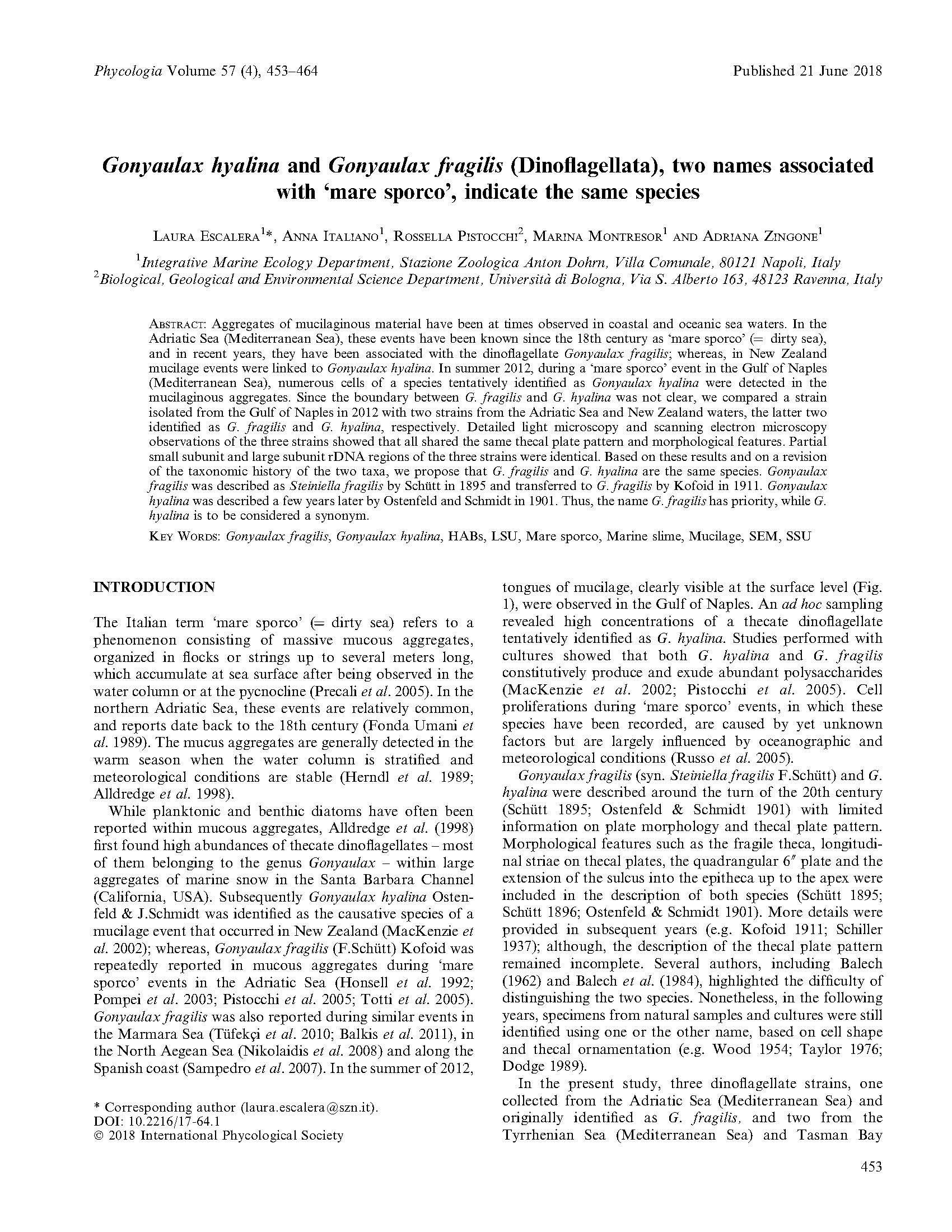 Escalera Gfragilis First Page