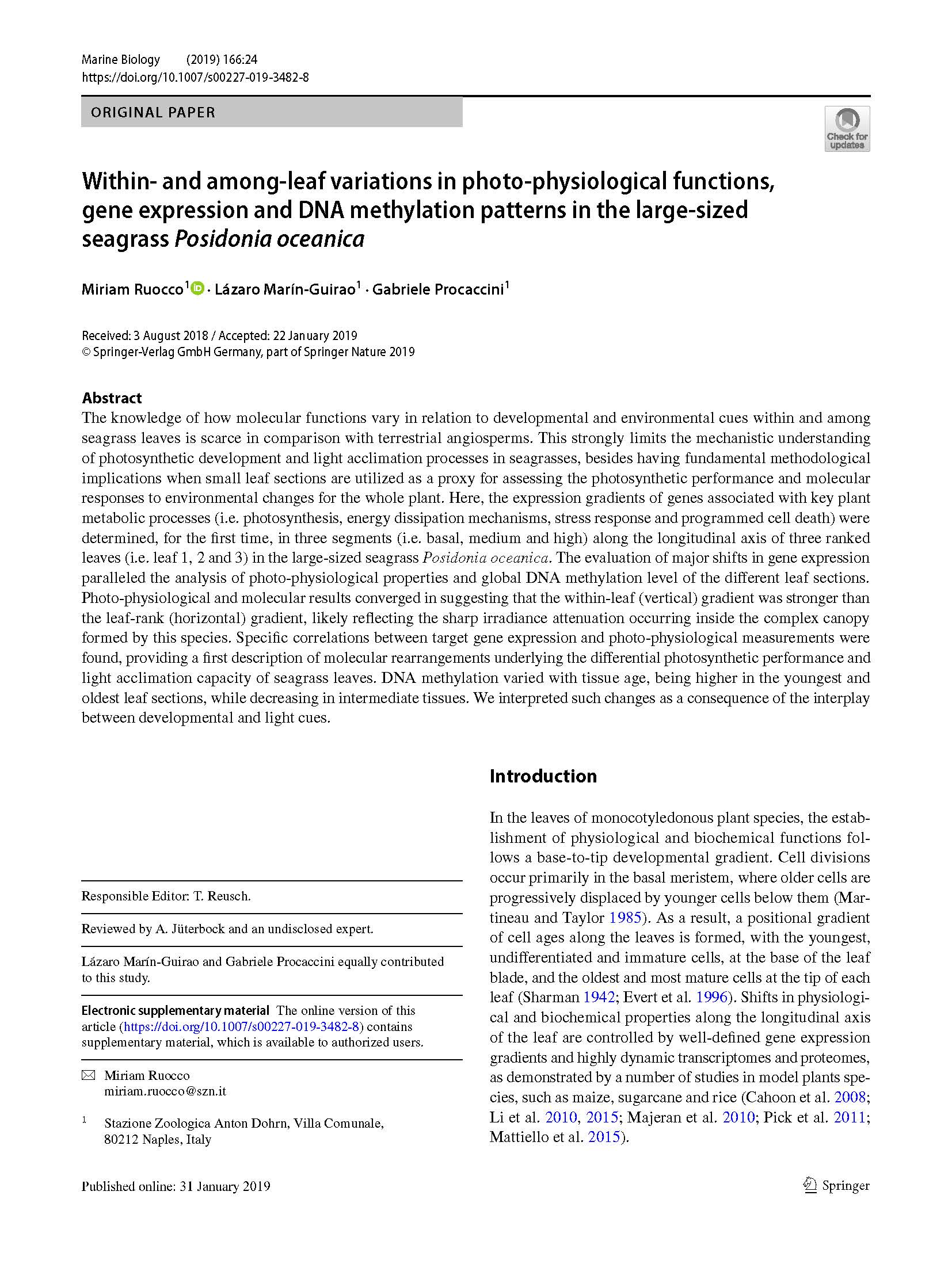 Ruocco et al 2019