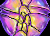 Clicca per andare alla pagina