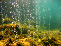 Clicca per andare alla pagina 