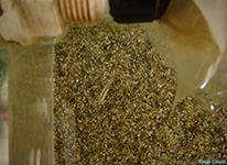 Clicca per andare alla pagina 