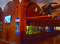 Clicca per andare alla pagina