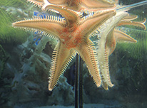 Clicca per andare alla pagina 